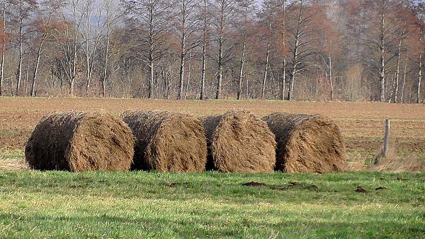Unterwegs in der Goldenen Aue