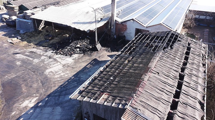 Brand im Greu&szlig;ener Gartencenter