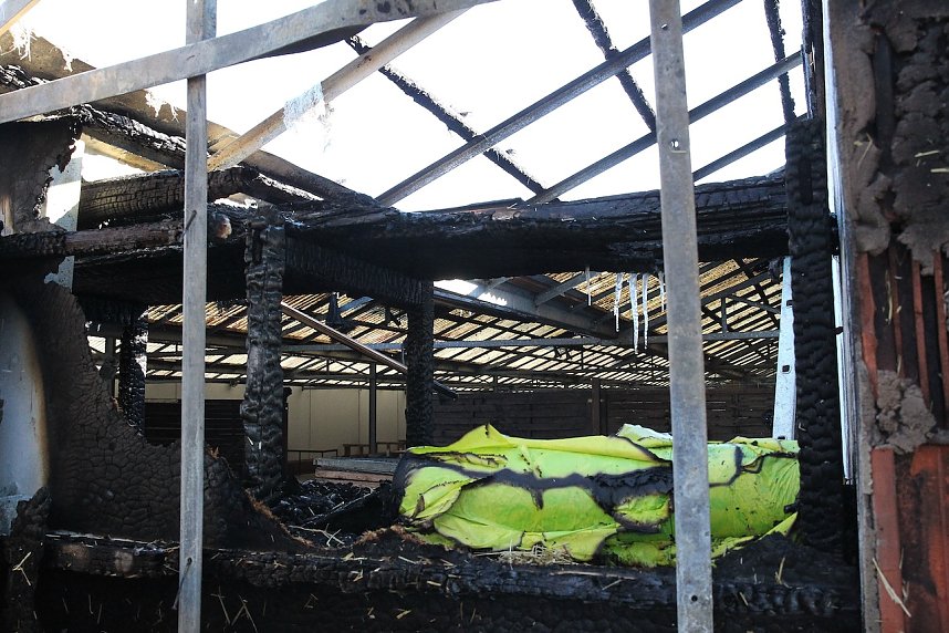 Brand im Greu&szlig;ener Gartencenter