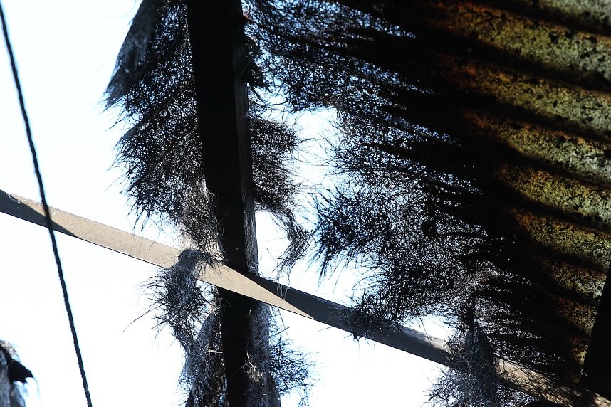 Brand im Greu&szlig;ener Gartencenter