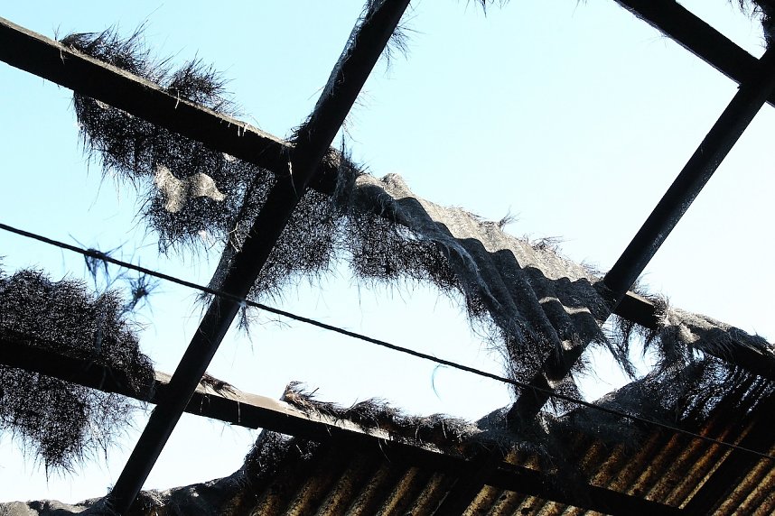 Brand im Greu&szlig;ener Gartencenter