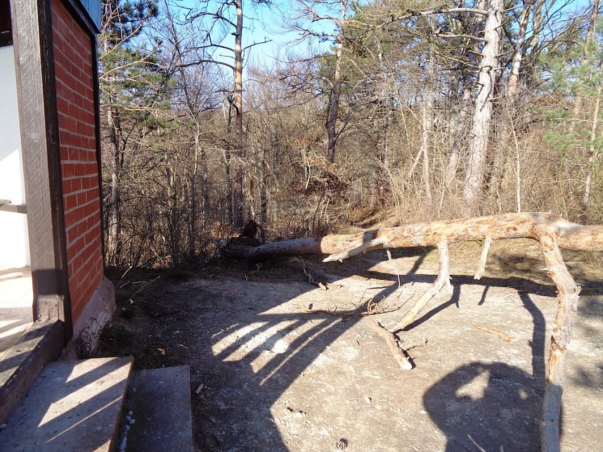 Fr&uuml;hjahrsputz der Judokas