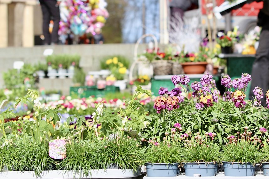 Gut besuchter Sondersh&auml;user Ostermarkt