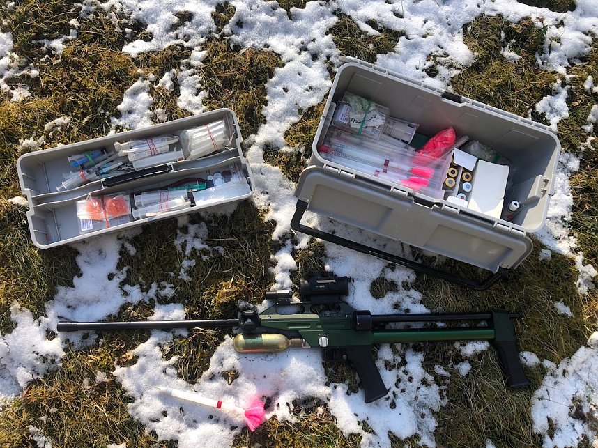 Equipment zur Bet&auml;ubung eines Tieres