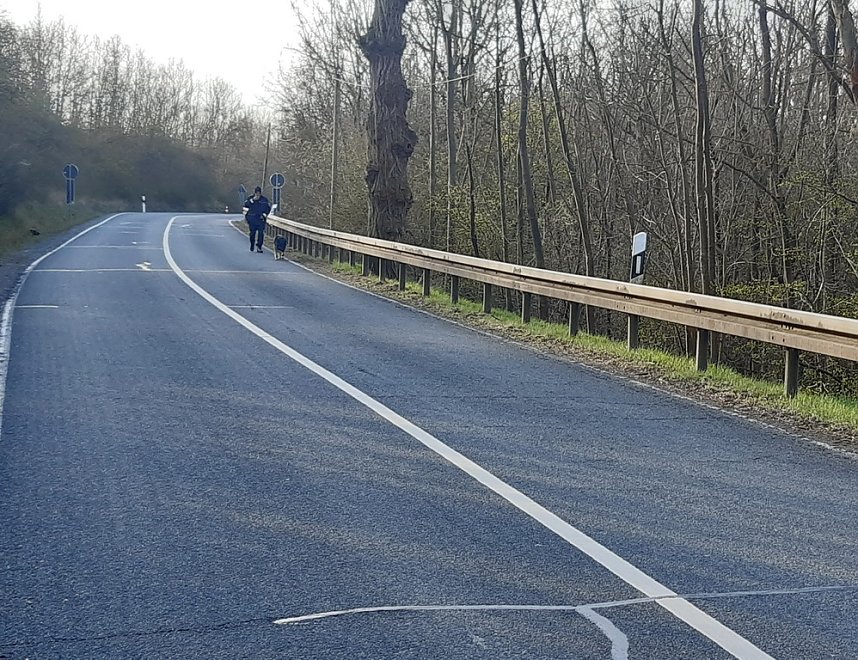 Wildunfall mit Personensuche