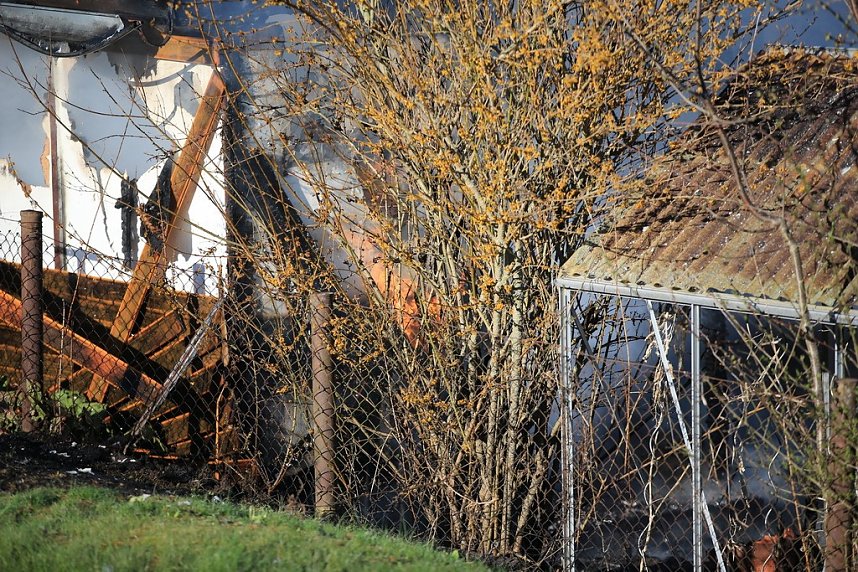 Laubenbrand in Sondershausen