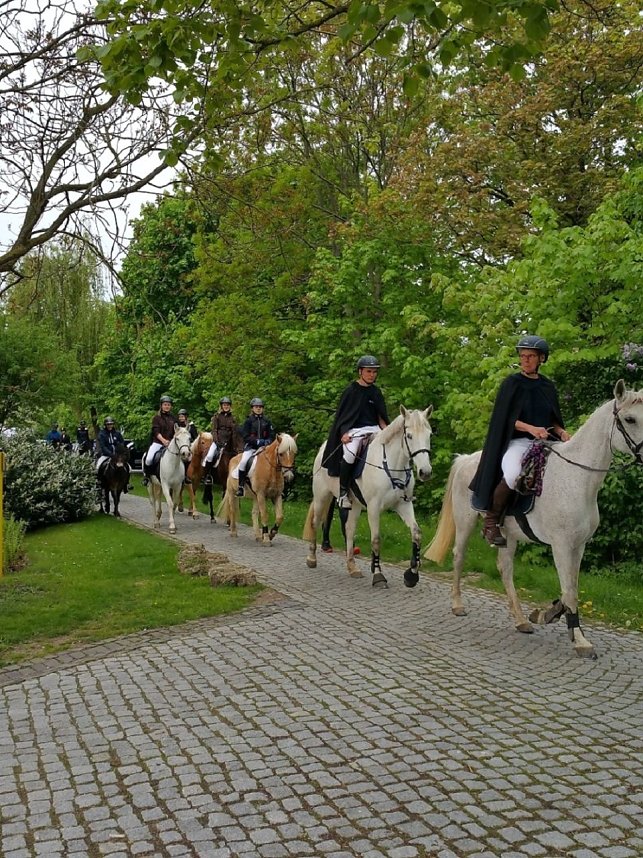 Archiv-Novalisritt 2019