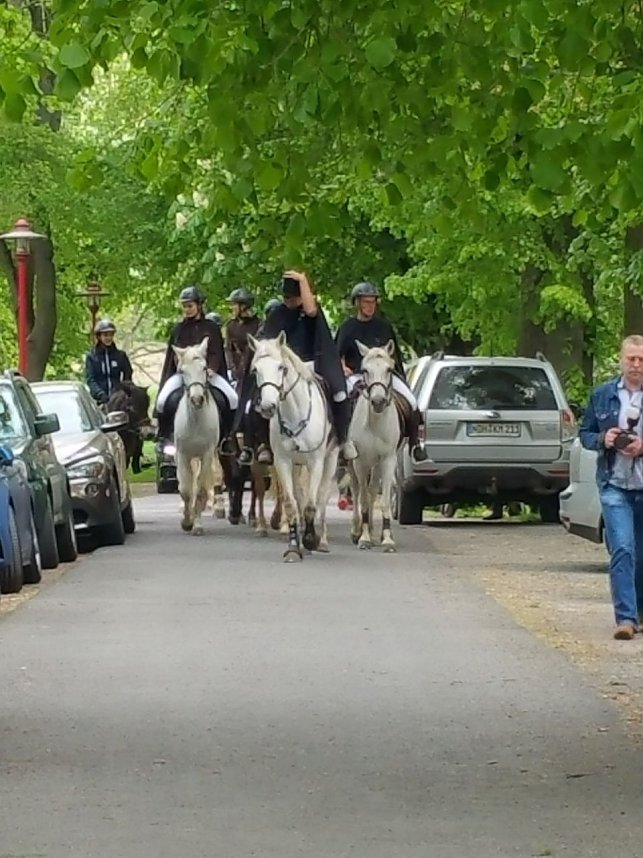 Archiv-Novalisritt 2019