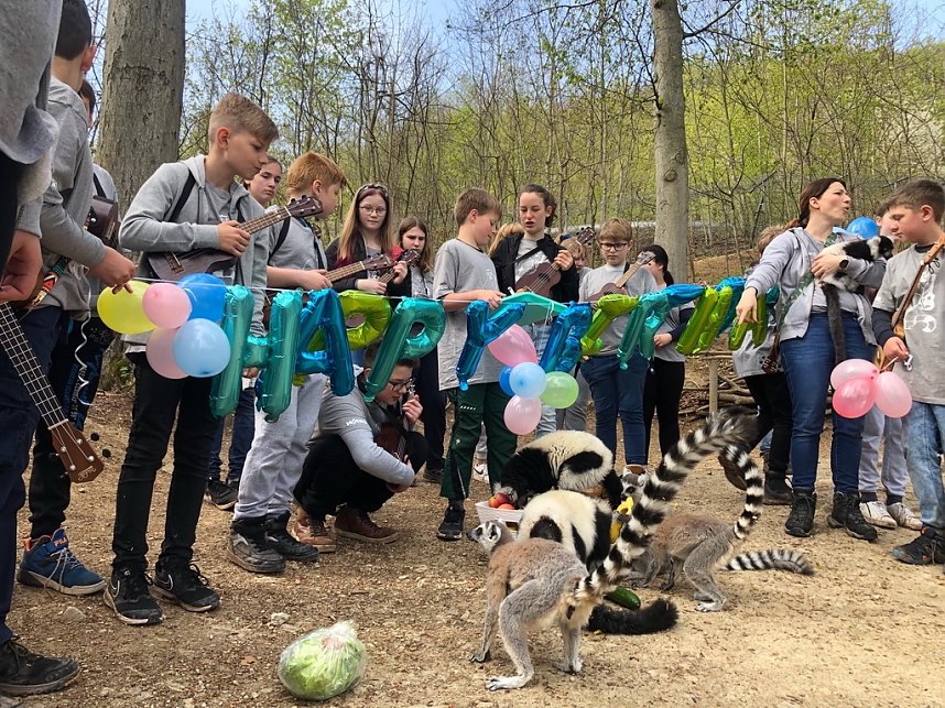 Affengeburtstag und Putzaktion im Affenpark Strau&szlig;berg