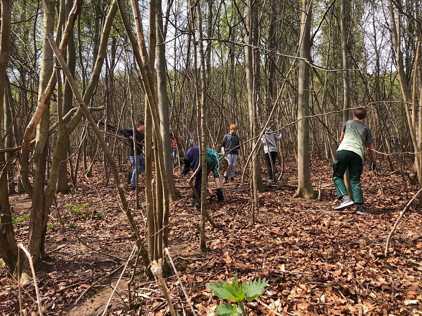 Affengeburtstag und Putzaktion im Affenpark Strau&szlig;berg