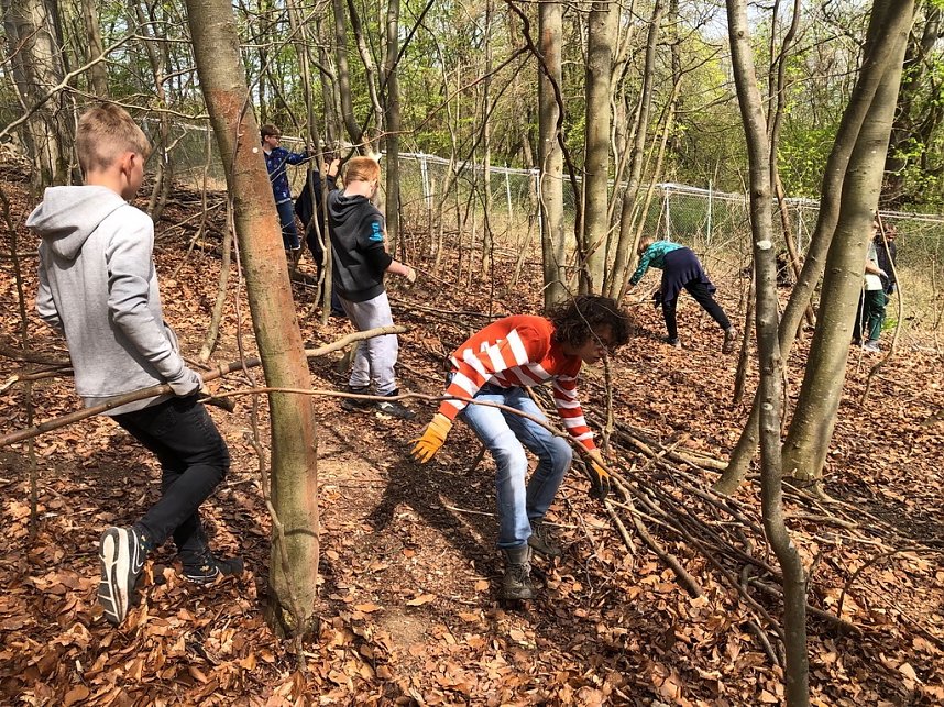 Affengeburtstag und Putzaktion im Affenpark Strau&szlig;berg