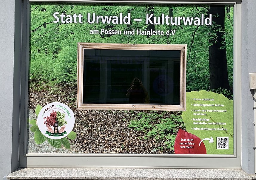 Gr&uuml;nes Schaufenster in der Innenstadt von Sondershausen