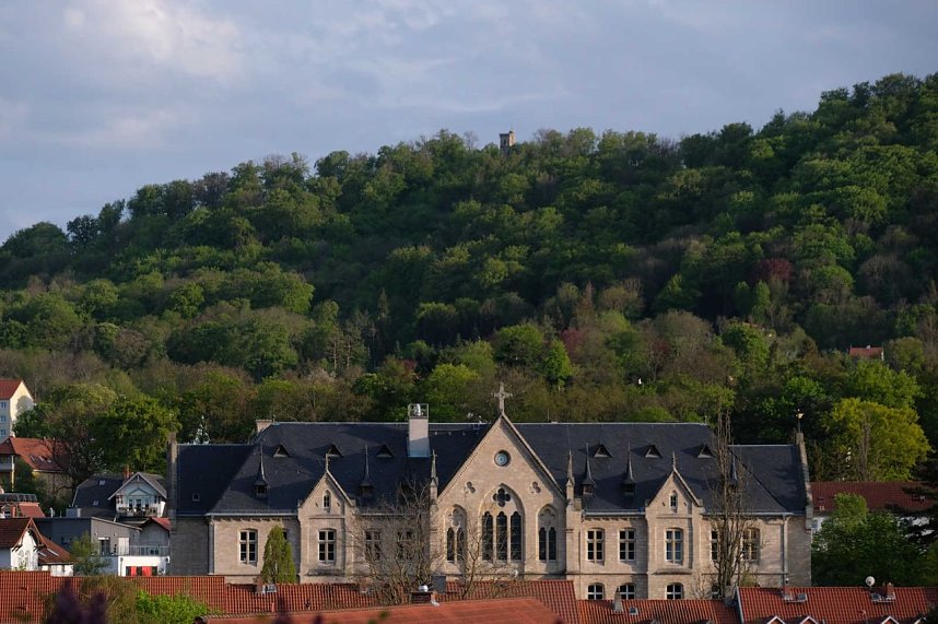 Sie br&uuml;ten noch!