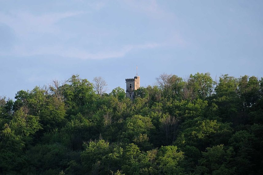Sie br&uuml;ten noch!