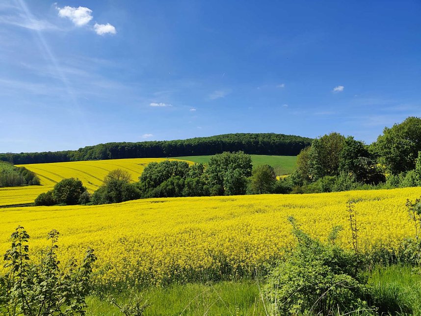 Peter Blei unterwegs in der Klosterkirche Dietenborn