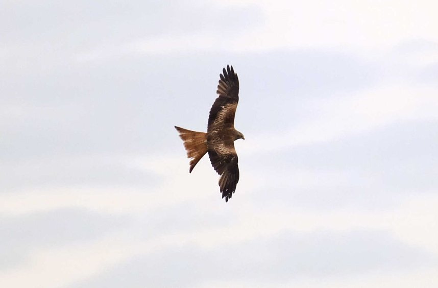 Peter Blei unterwegs am Stausee Kelbra
