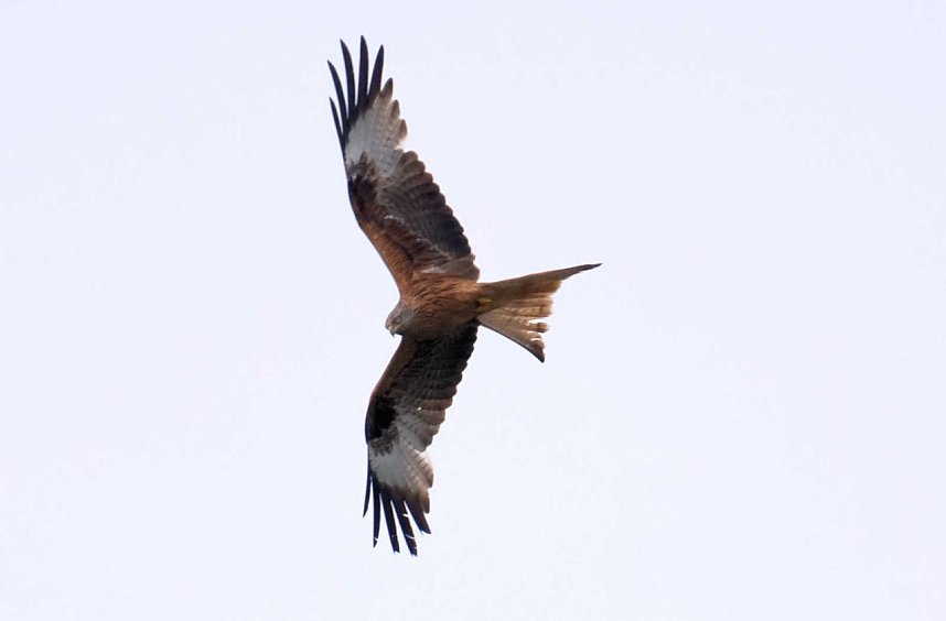 Peter Blei unterwegs am Stausee Kelbra