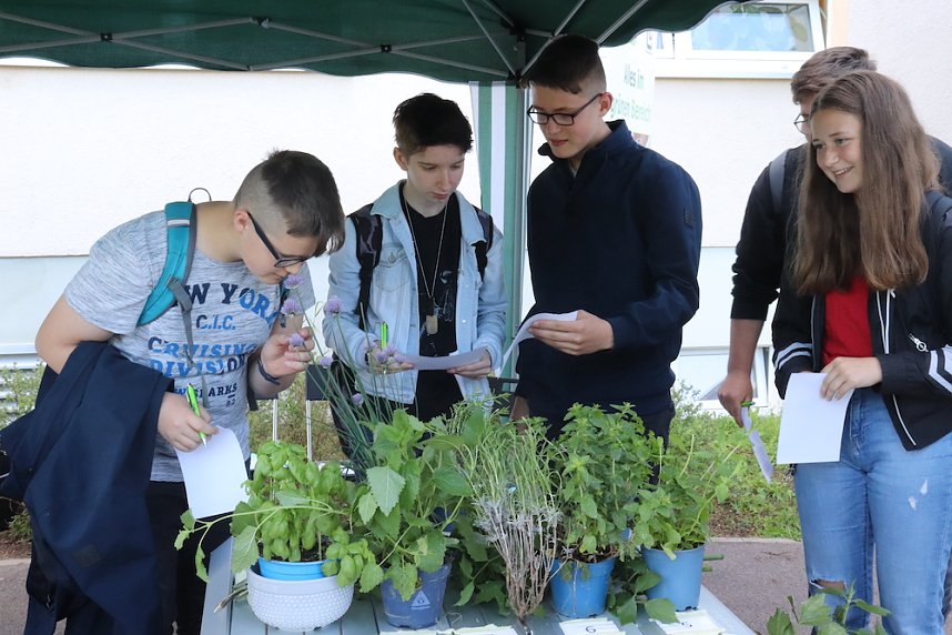 Tag der Berufe in Oldisleben
