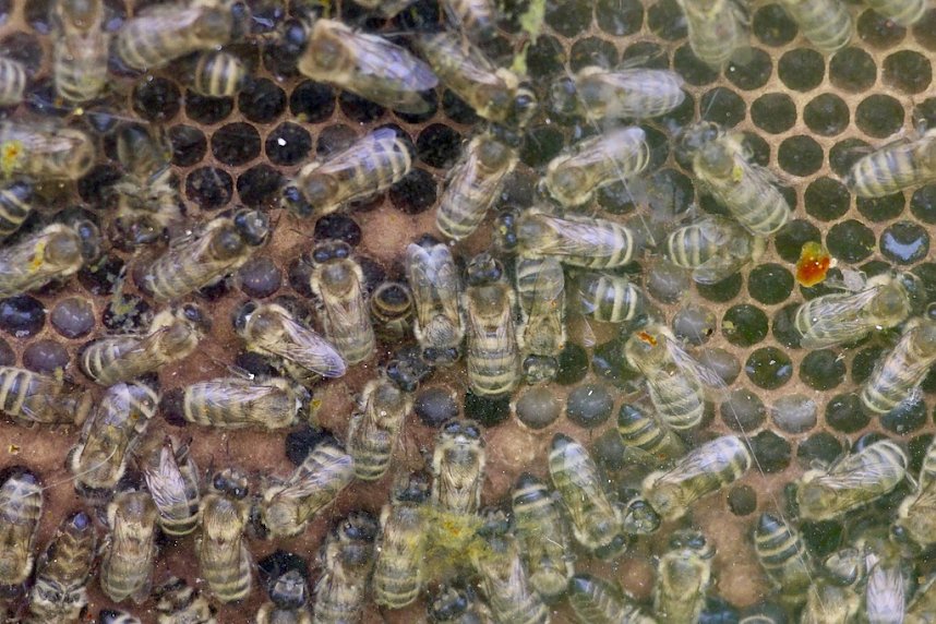 19. Residenzfest Sondershausen