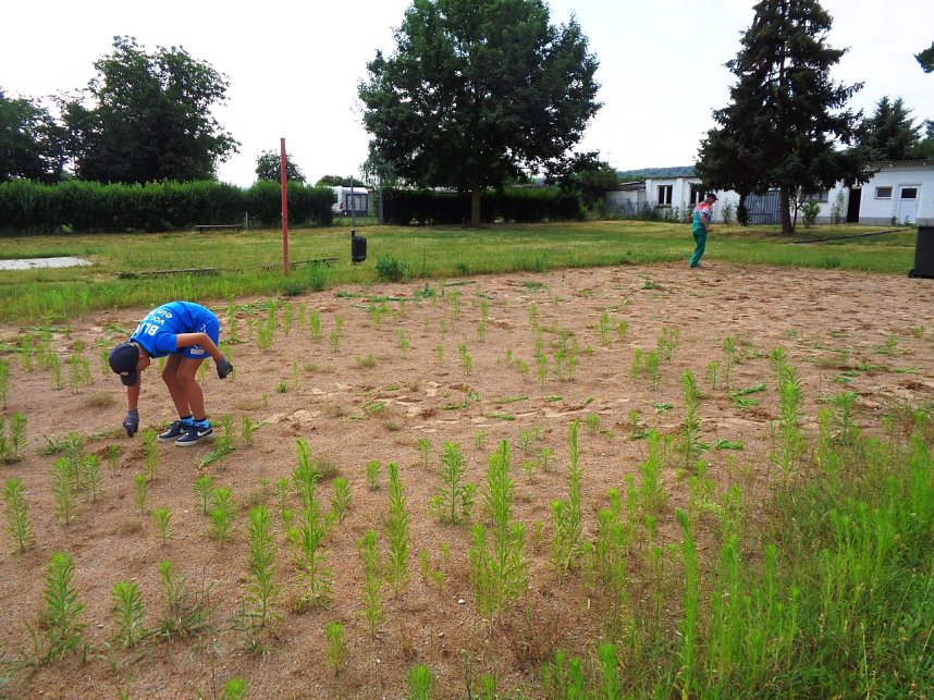 Erster Arbeitseinsatz im Naturschwimmbad Heldrungen