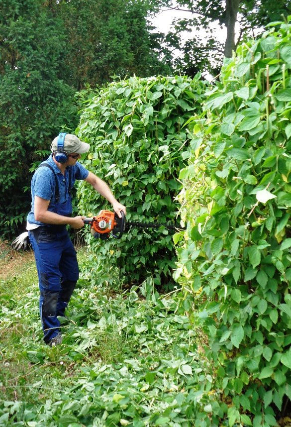 Erster Arbeitseinsatz im Naturschwimmbad Heldrungen