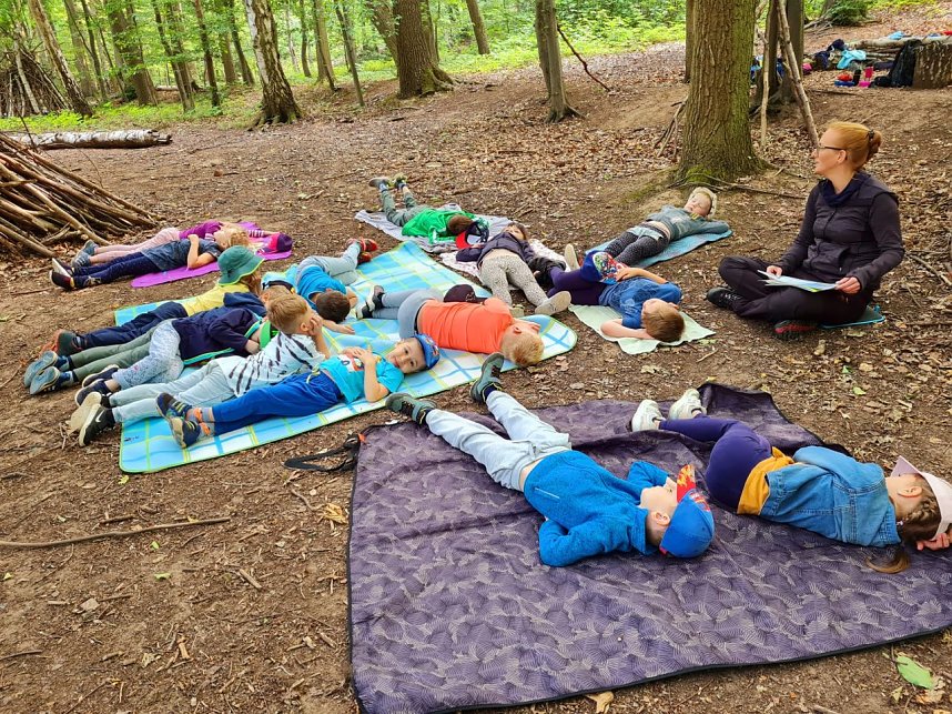 Waldtag am Frauenberg