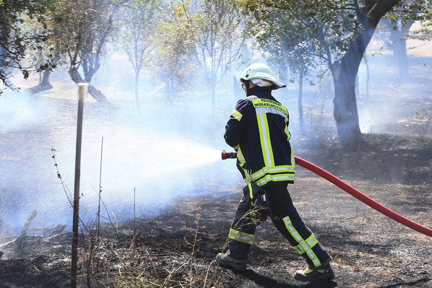 Fl&auml;chenbrand zwischen Gro&szlig;- und Kleinfurra