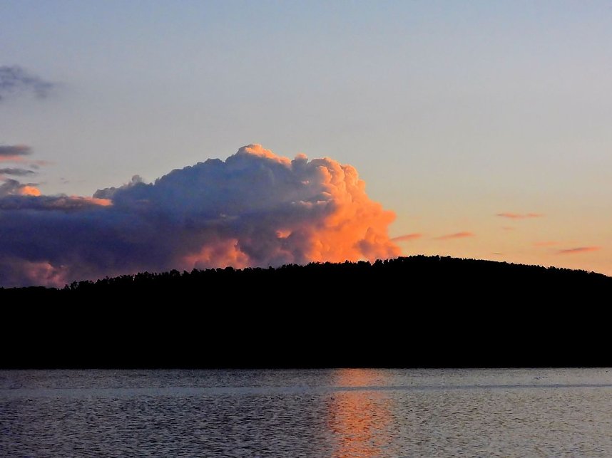 Beobachtungen am Kelbraer Stausee