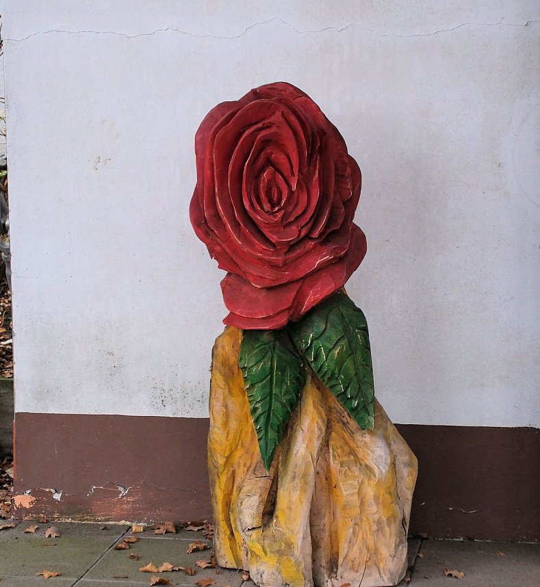 Saisonabschluss im Rosarium