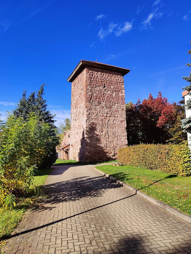 Peter Blei unterwegs in Kelbra