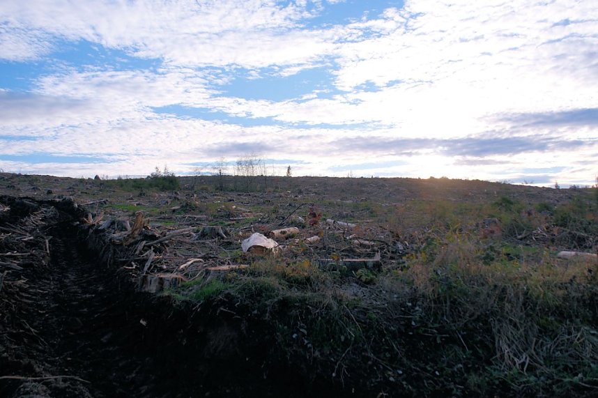 Peter Blei unterwegs im Harz