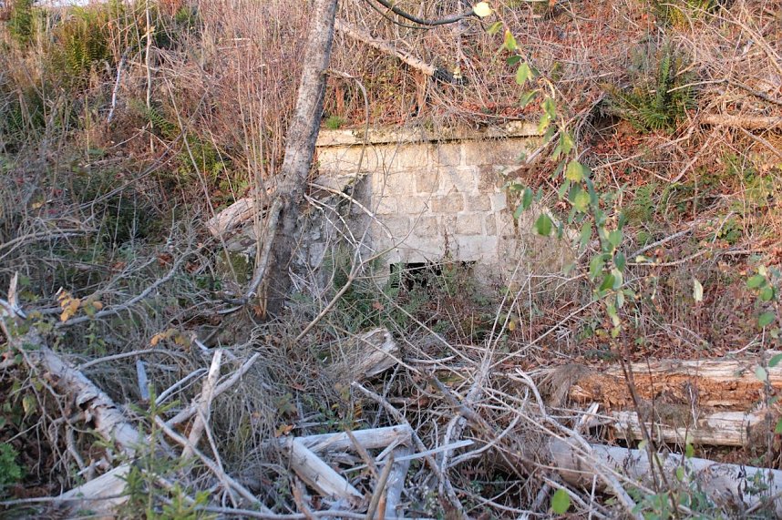 Peter Blei unterwegs im Harz