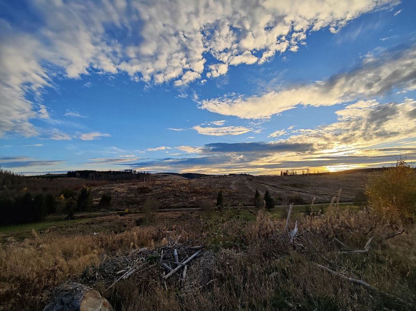 Peter Blei unterwegs im Harz