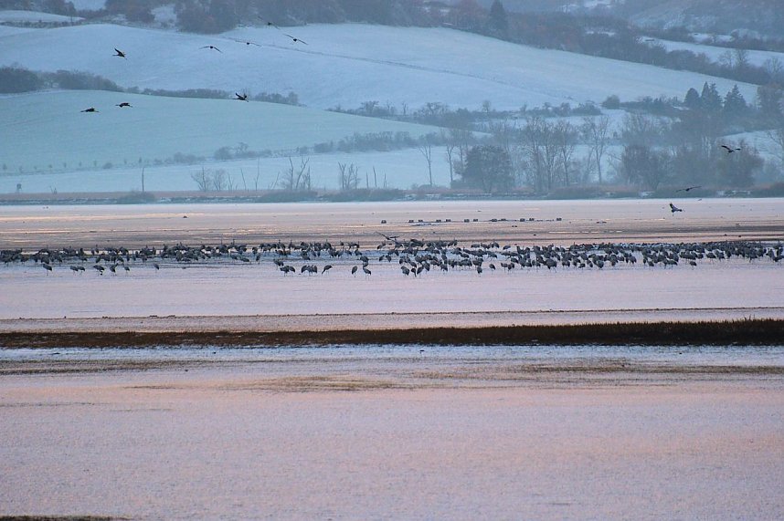Peter Blei unterwegs im Schnee