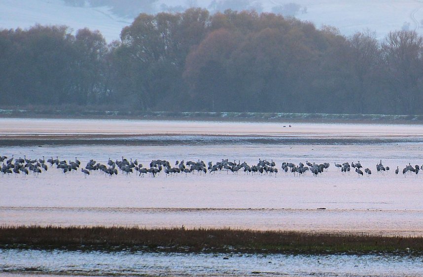 Peter Blei unterwegs im Schnee
