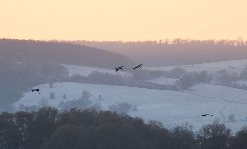 Peter Blei unterwegs im Schnee