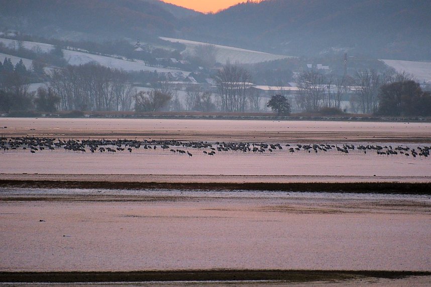 Peter Blei unterwegs im Schnee