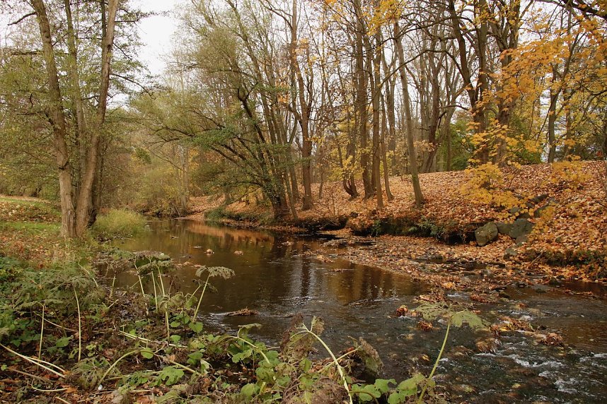 Wo ist all das Wasser hin? - Trockenheit und Niedrigwasser haben das Jahr bestimmt