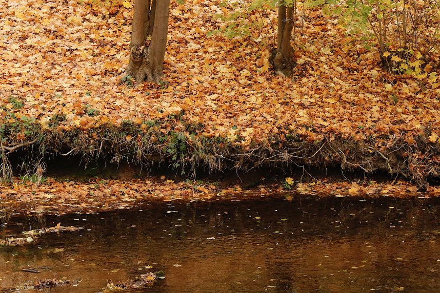 Wo ist all das Wasser hin? - Trockenheit und Niedrigwasser haben das Jahr bestimmt