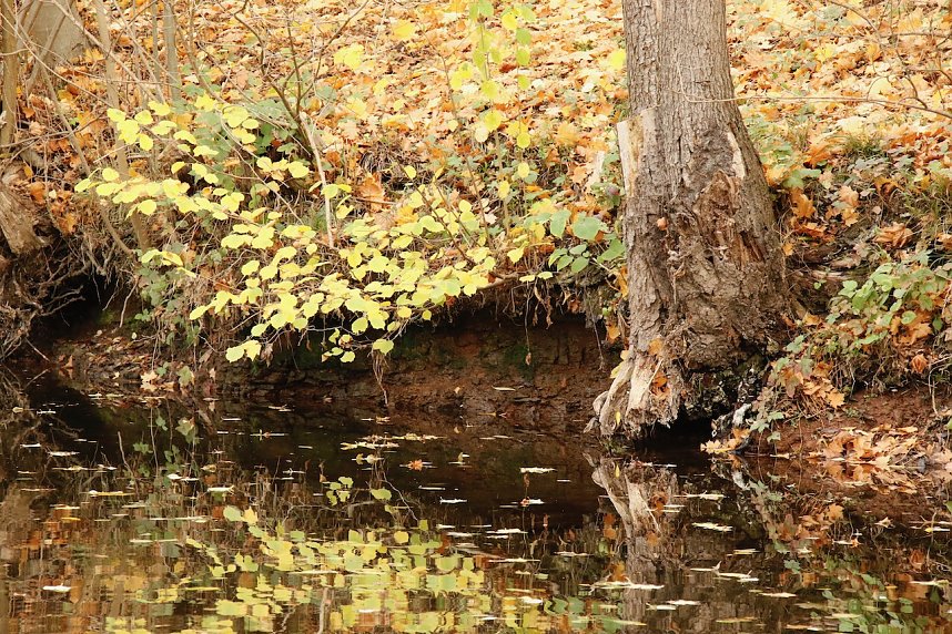 Wo ist all das Wasser hin? - Trockenheit und Niedrigwasser haben das Jahr bestimmt