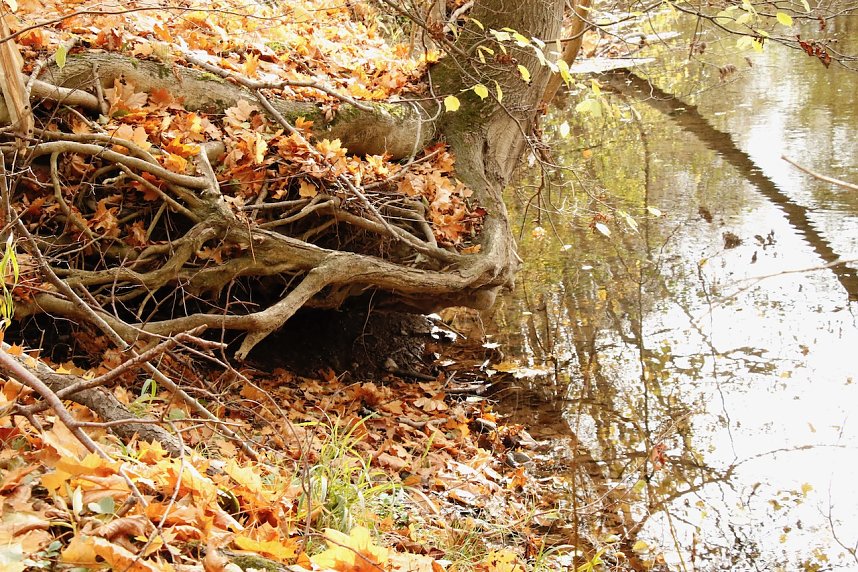 Wo ist all das Wasser hin? - Trockenheit und Niedrigwasser haben das Jahr bestimmt