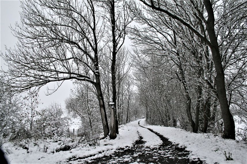 Winterimpressionen aus Kelbra