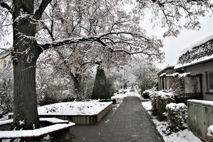 Winterimpressionen aus Kelbra
