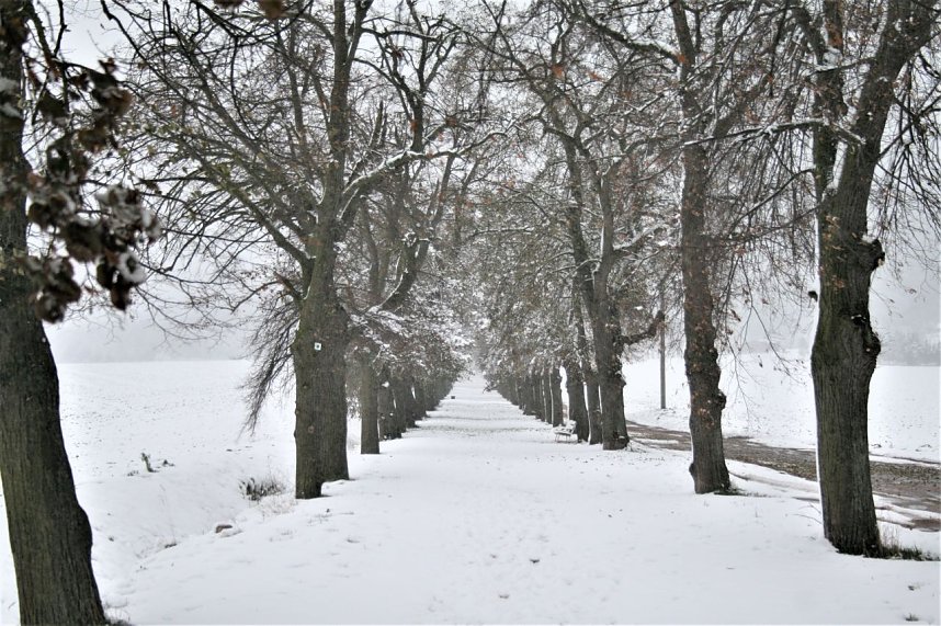 Winterimpressionen aus Kelbra