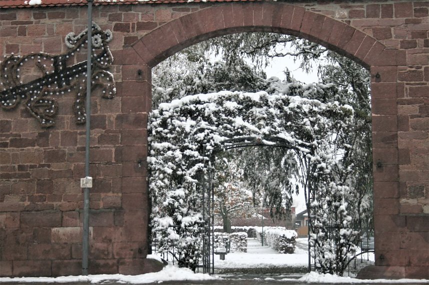 Winterimpressionen aus Kelbra