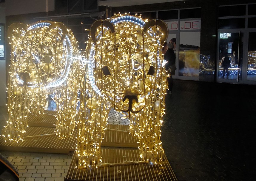 Peter Blei unterwegs in Magdeburg