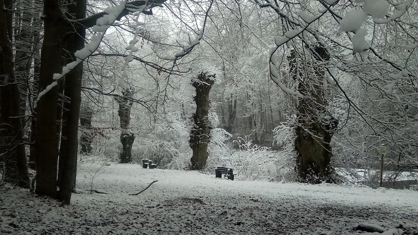 Momentaufnahmen im Advent w&auml;hrend eines Urlaubes in Reifenstein