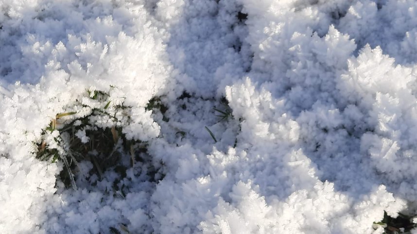 Winterimpressionen, aufgenommen an der Wipper