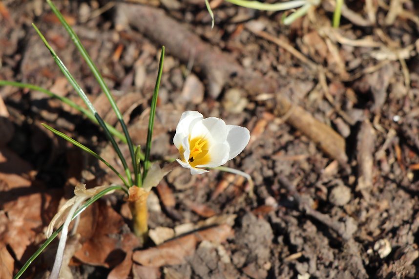 Jahresr&uuml;ckblick 2022 - Kyffh&auml;userkreis