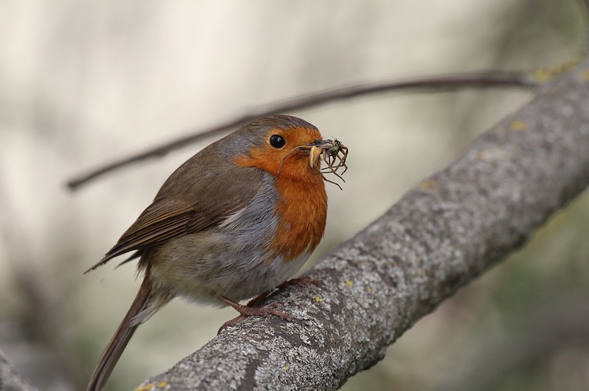 Jahresr&uuml;ckblick 2022 - Kyffh&auml;userkreis